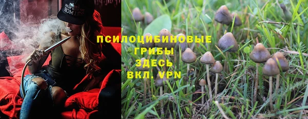 твердый Бугульма